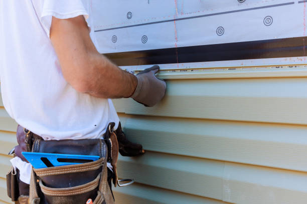 Best Custom Trim and Detailing for Siding  in Waverly, IA